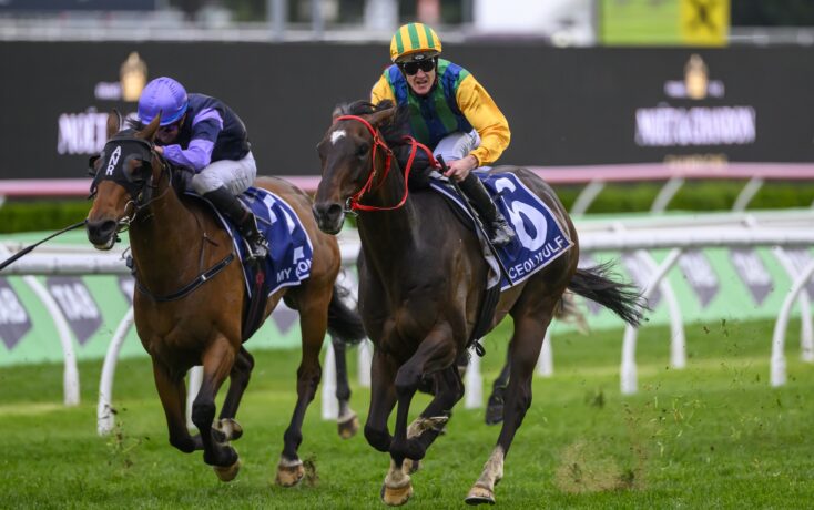 格林的名字 格林的名字