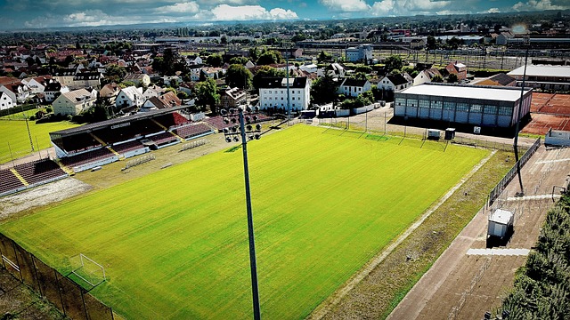 似措施的可 似措施的可