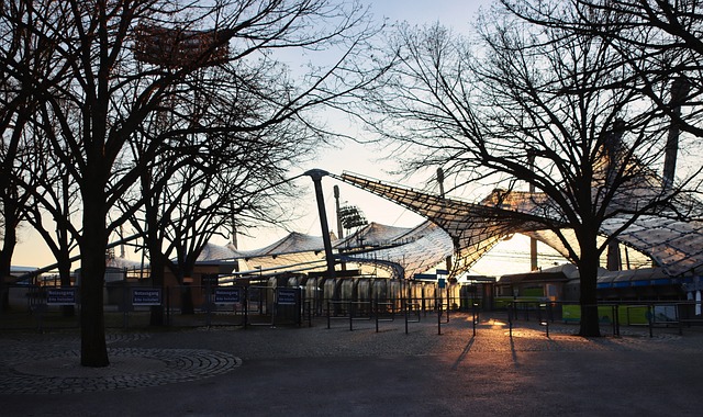 了国家队 了国家队