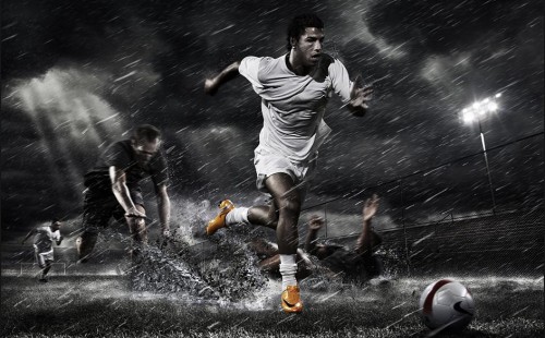 得尤为珍贵 得尤为珍贵