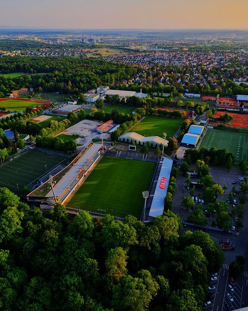 彩绝伦的视 彩绝伦的视