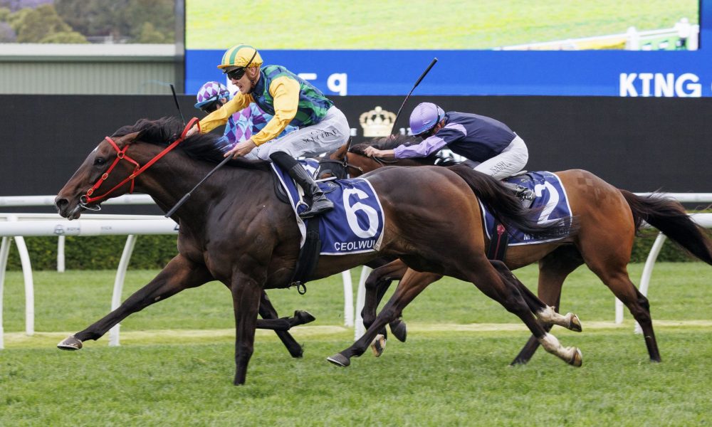 了许多好机 了许多好机